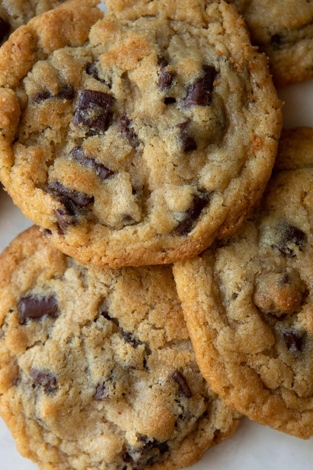 Close-up of chocolate chip cookies